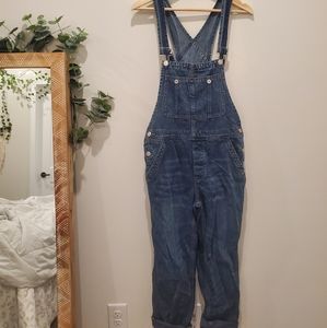 Free People blue denim overalls sz25